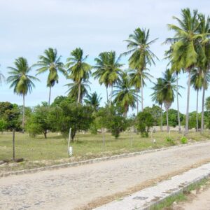 Imagem do projeto Loteamento Parque dos Coqueiros