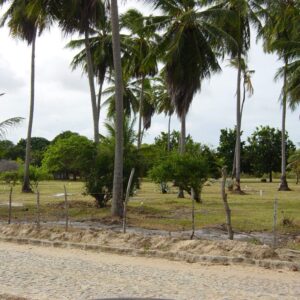 Imagem do projeto Loteamento Parque dos Coqueiros